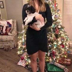 LOFT Forest Green Faux Wrap Long Sleeve Dress
